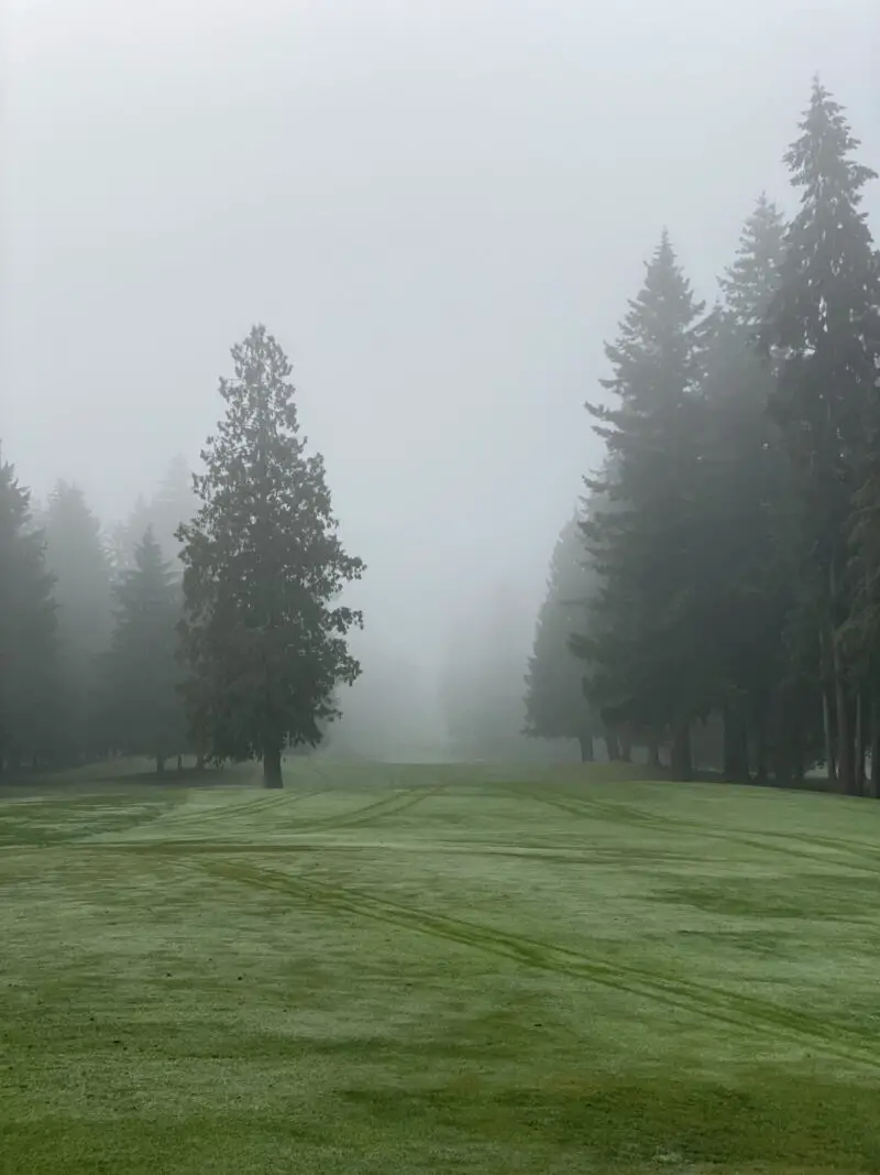 What Are Winter Rules In Golf? Fore Putt Golf