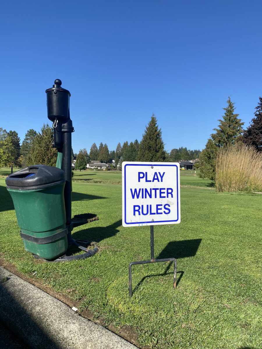 What Are Winter Rules In Golf? Fore Putt Golf
