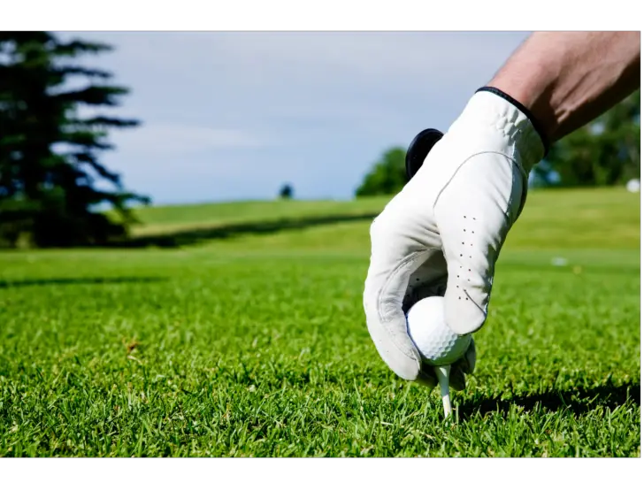 What Is A Cadet Golf Glove?