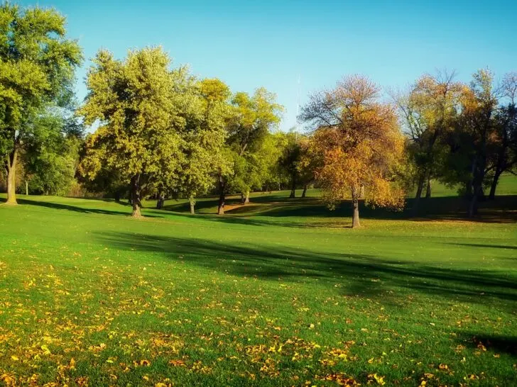 What Is A Scratch Golfer?