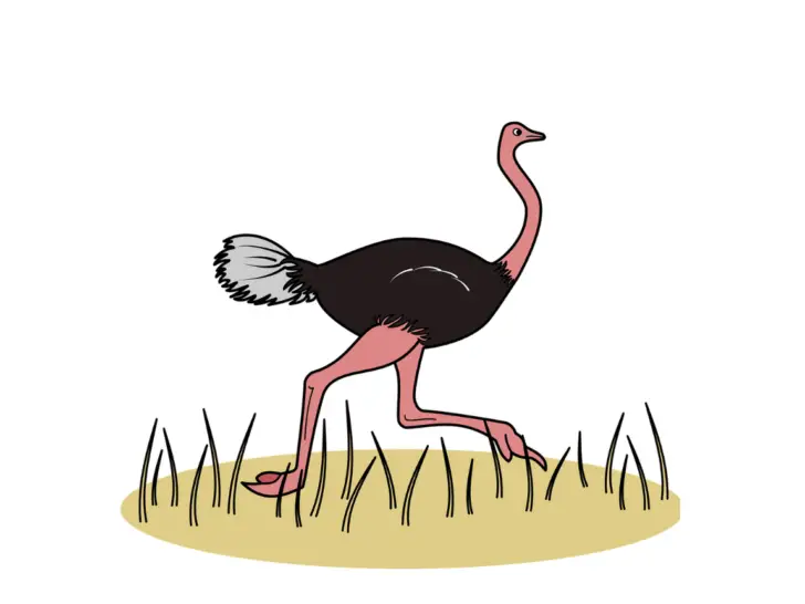 What Is An Ostrich In Golf?