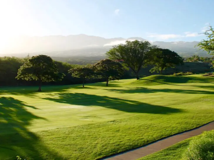 Gap Wedge Loft: 48, 50, & 52 Degree Wedges