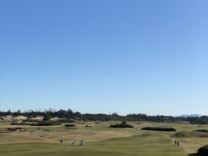 Standing Astride In Golf