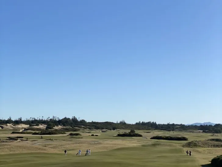 Standing Astride In Golf