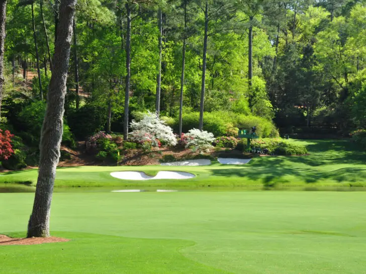 The Amateur Dinner At The Masters