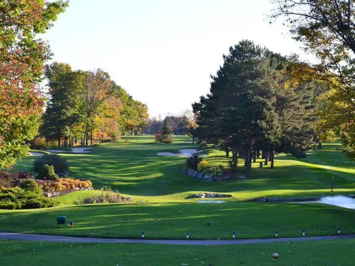 Bonding on the Fairway: Why Golf is the Perfect Sport for Grandparents and Grandchildren