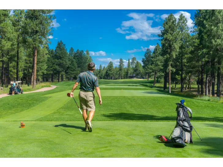 What is a Mulligan in Golf?