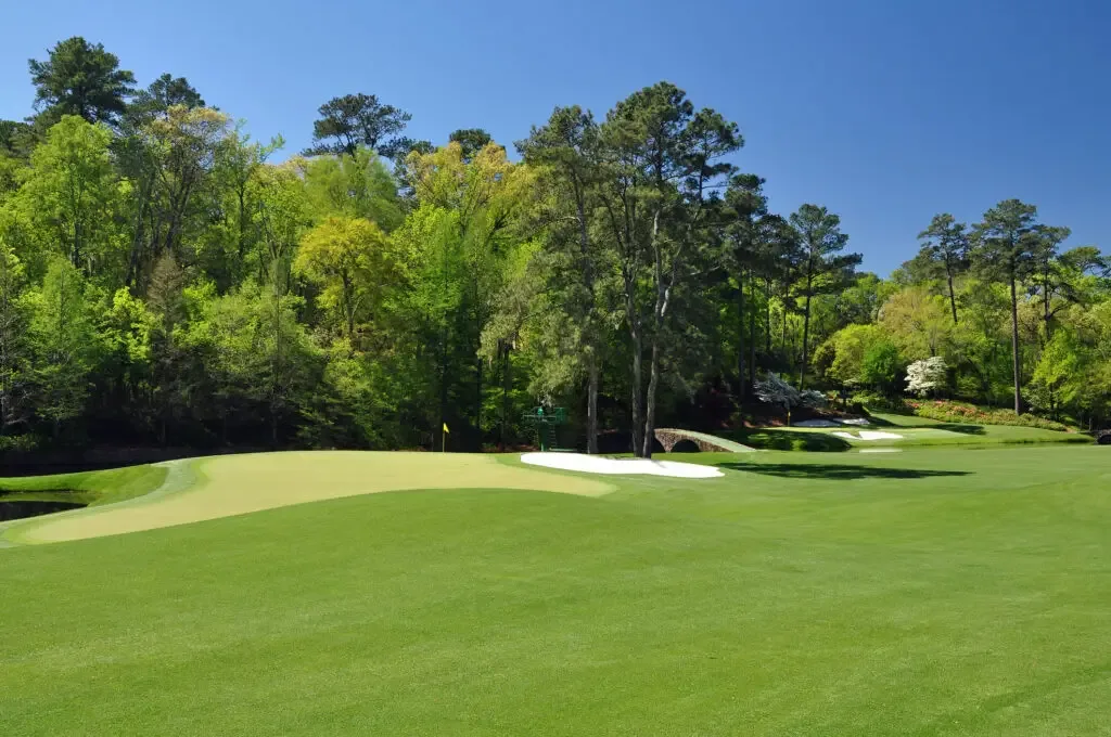 amen corner 11 white dogwood