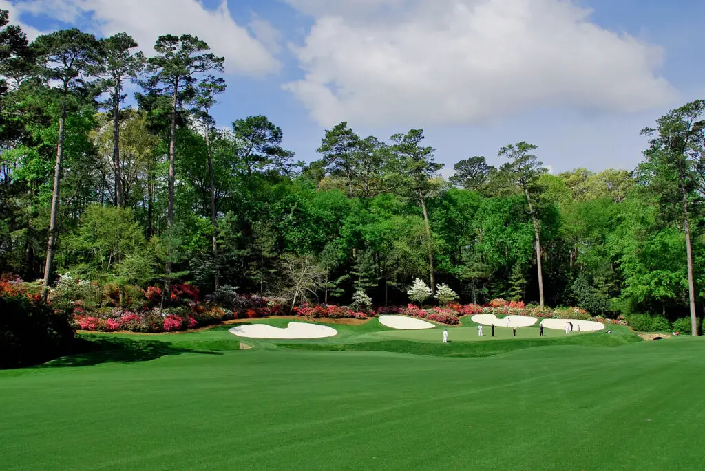 amen corner 13 azalea